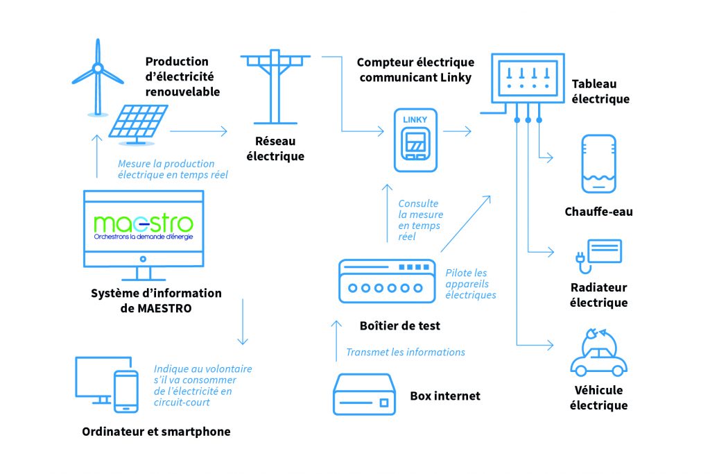 SEOLIS_Maestro_Schema